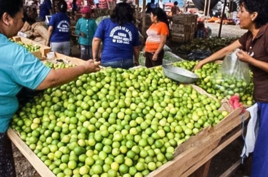 “Alza del precio del limón es una situación transitoria”, asegura el MEF