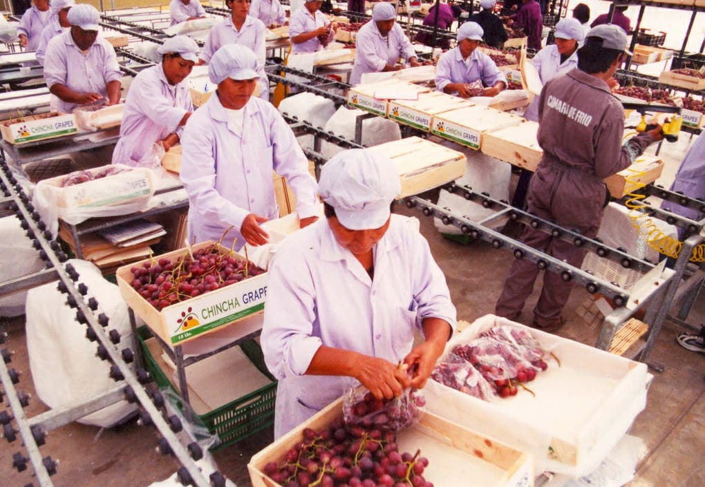 ADEX hizo llegar  propuestas para la nueva ley de promoción agraria