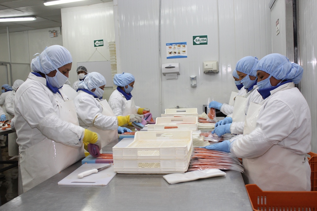 Cayeron despachos de pesca para consumo humano directo en el 2020