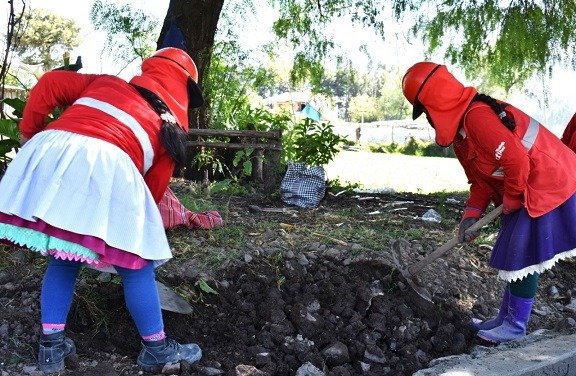 Áncash: "Más de 800 hogares usuarios de Juntos se benefician con empleos temporales" 