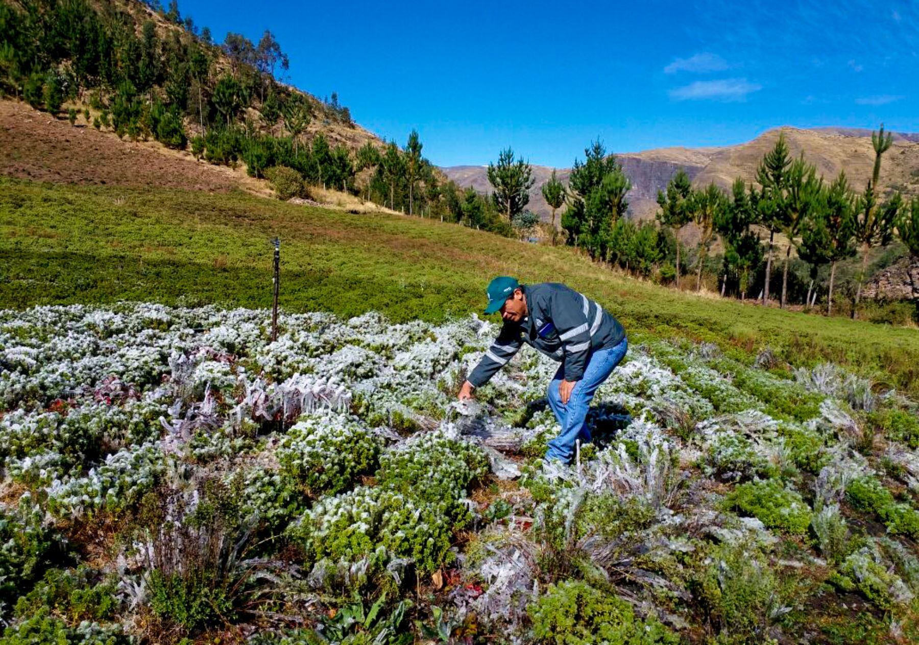 Diez departamentos contribuyeron al crecimiento de la economía peruana en segundo trimestre de 2018