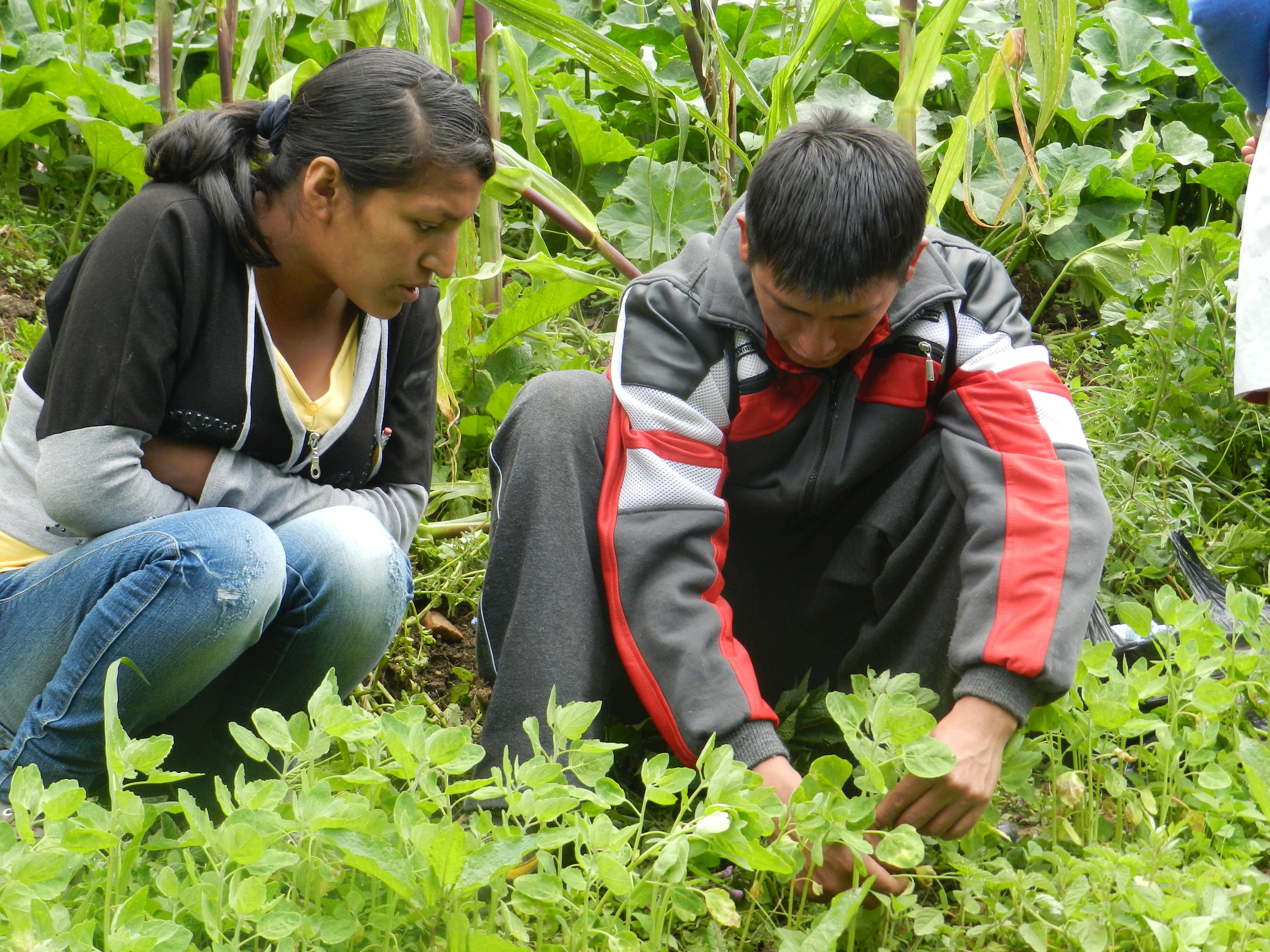 Dirección Regional Agraria de Áncash desarrollará seminario sobre fenómeno El Niño