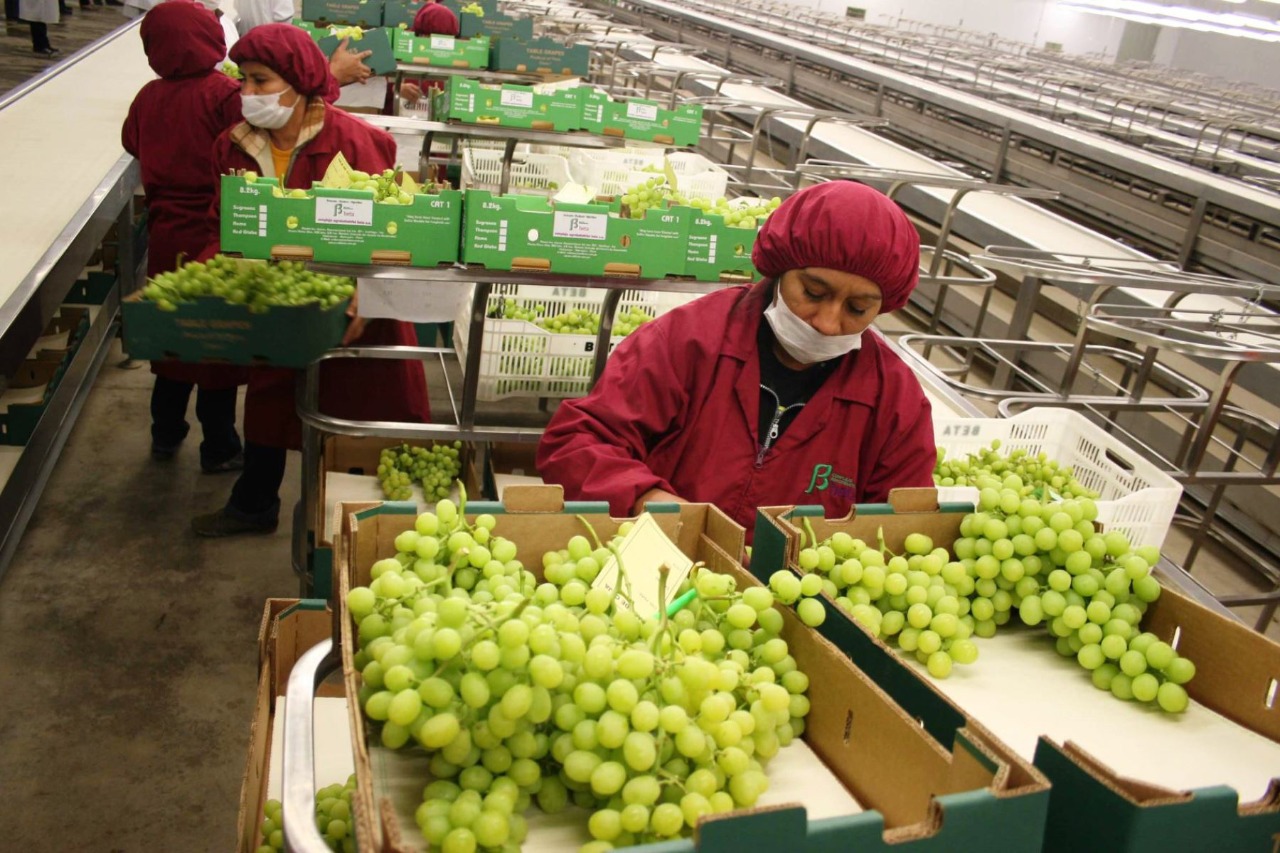 Sepa cuál es la propuesta del Ejecutivo para la ley agraria que desarrolla el Congreso