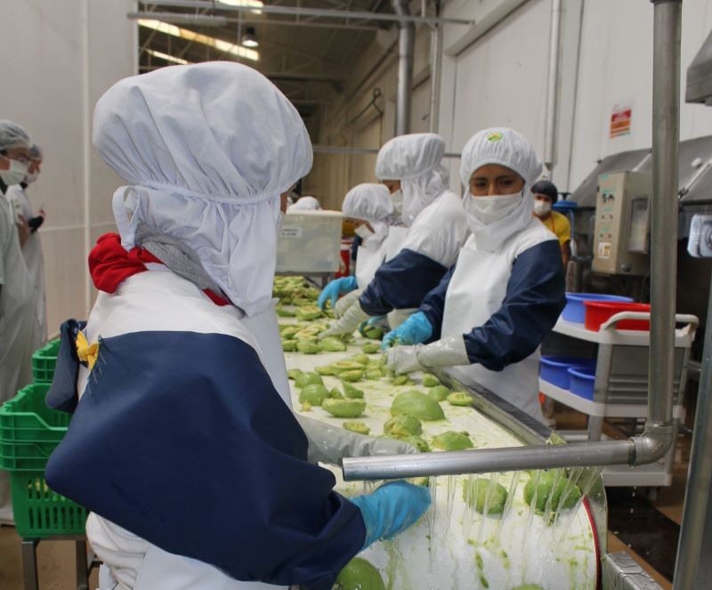 Empleos generados por exportaciones crecieron 4.6% en primer semestre