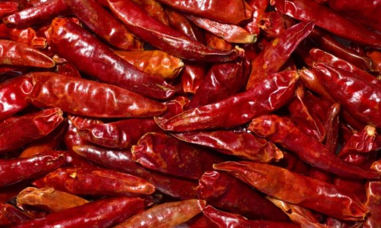 México y EE.UU. se consolidan como principales destinos de páprika 