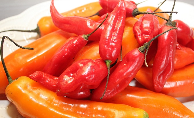 Más de 2 mil empresas del sector agro no tradicional exportaron US$ 6,735 millones 