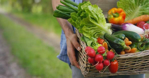 La ley de alimentación saludable requiere de sistemas agro-alimentarios saludables