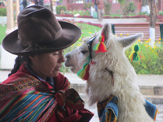 Alcalde anuncia que ya se identificó a policías agresores de la dueña de alpaca