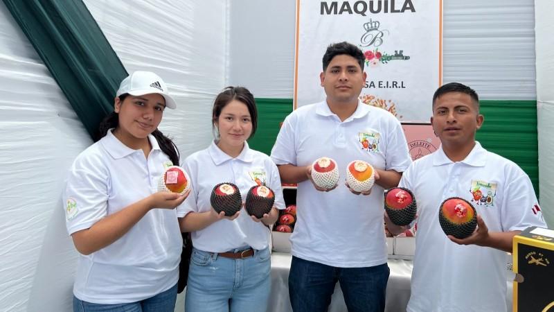 Áncash inicia campaña de exportación de mango 2024-2025