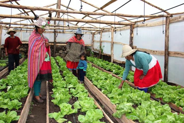 Delegación Colombiana recogerá experiencia de proyecto rural Haku Wiñay en poblado de Áncash