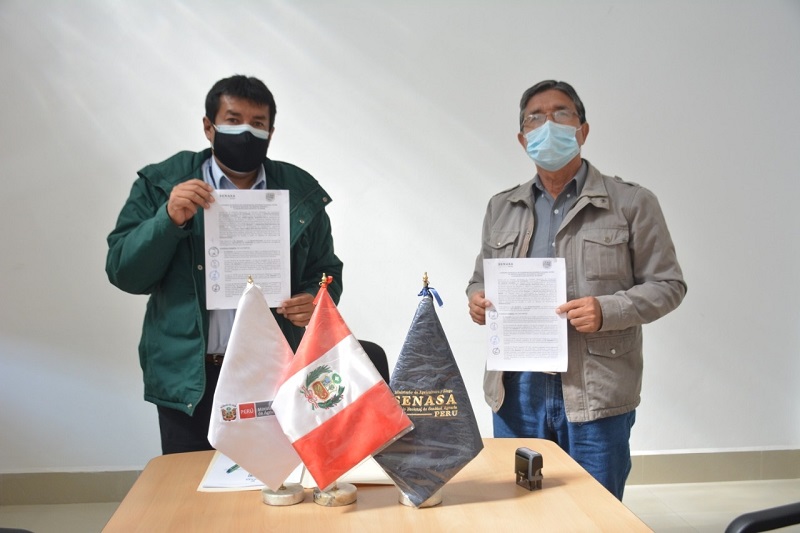 Áncash: Senasa y gobiernos locales se unen para erradicar mosca de la fruta