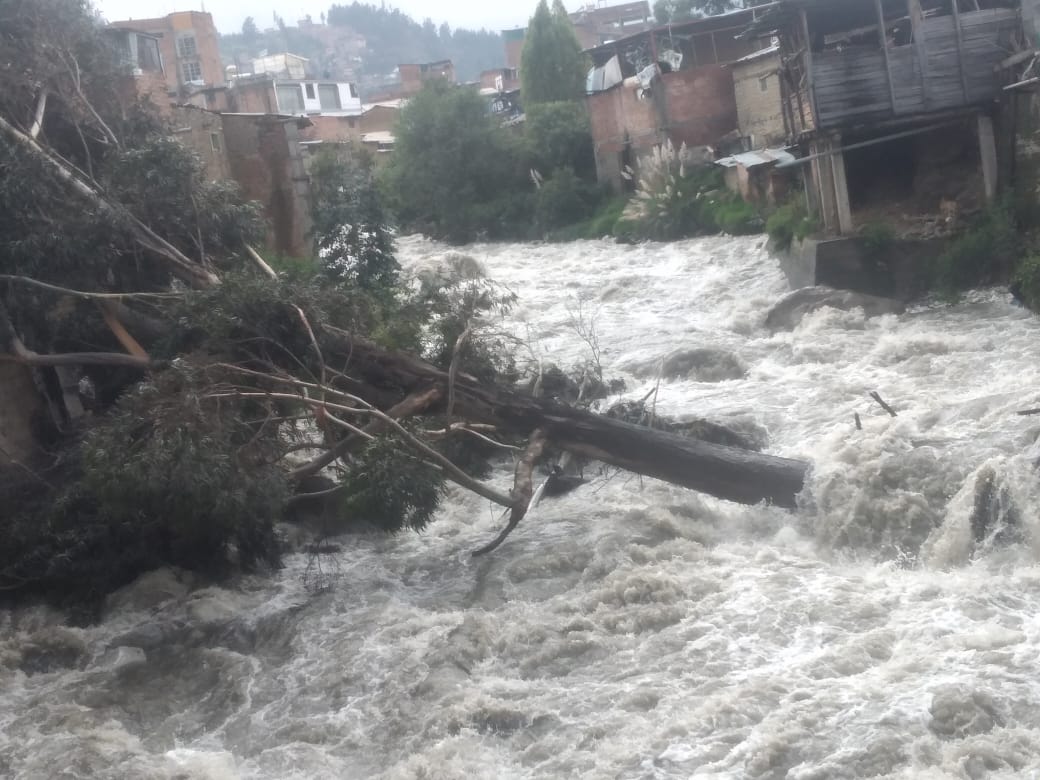 Colapso de árbol daña una vivienda en el malecon norte del río Quillcay