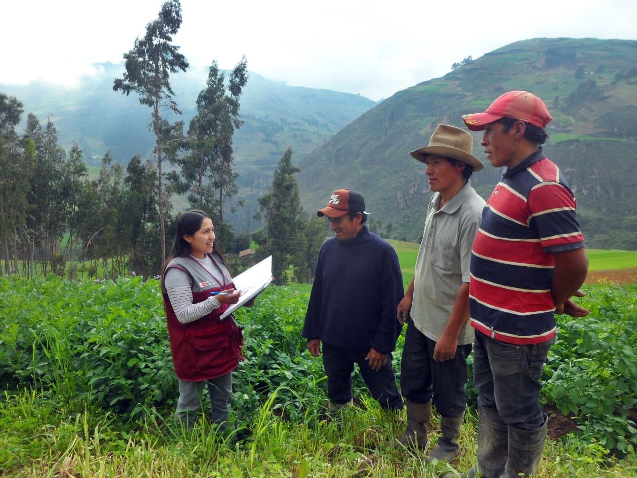 Asistentes de “Haku Wiñay”  son artífices del cambio en la vida de familias rurales