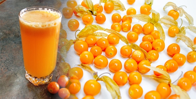 Elaboran bebida fermentada de aguaymanto en la Unasam