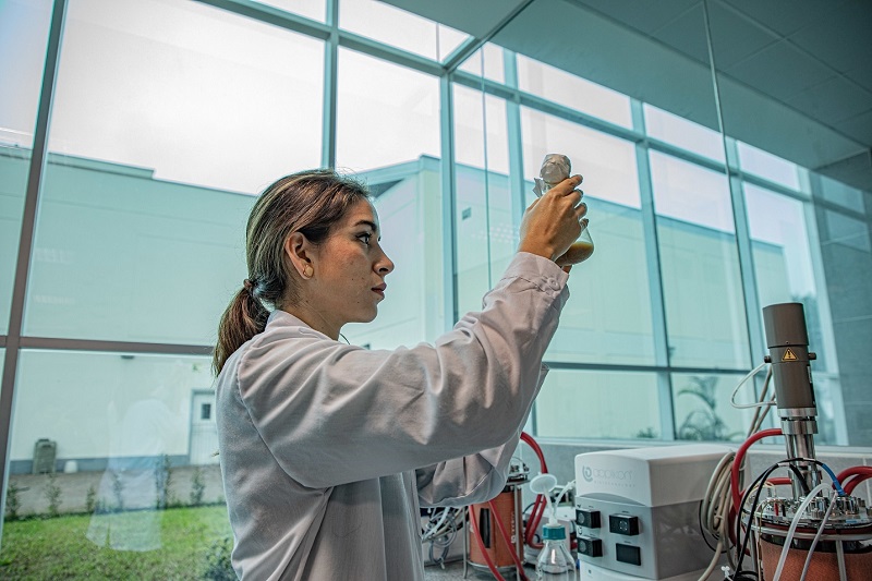 Cómo ganarte una beca de posgrado en una universidad top del mundo