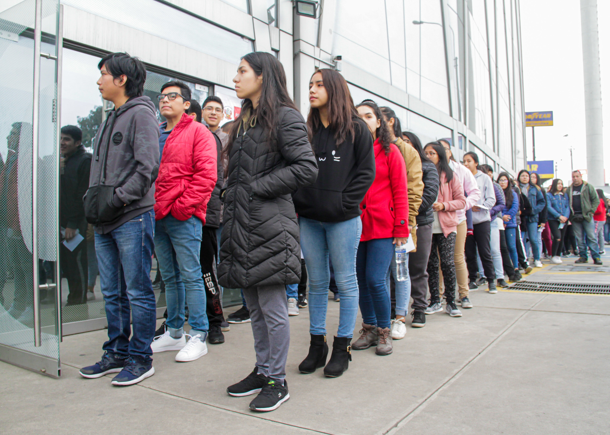 Becas OEA para curso online sobre jóvenes, educación y trabajo