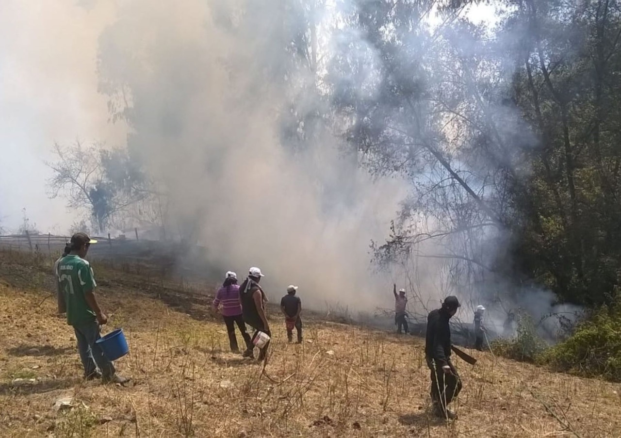 Áncash: COER reporta 54 incendios forestales en lo que va del año en esta región