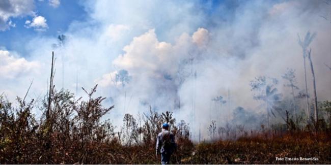 "Pero la Amazonia ¡ay!, siguió muriendo"