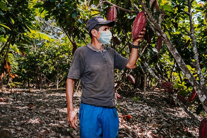  Más de 15 mil pequeños agricultores beneficiados con créditos en primer trimestre del año