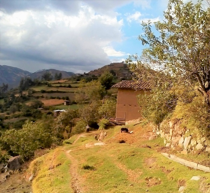 MTC cumplirá pago de afectaciones prediales por la carretera Mollepata-Pallasca