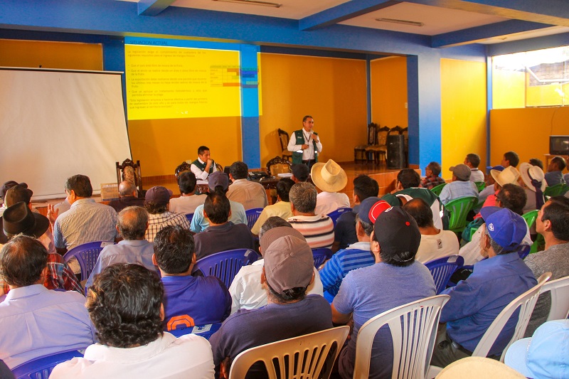 Senasa y productores de Yaután afianzan trabajo para erradicar mosca de la fruta