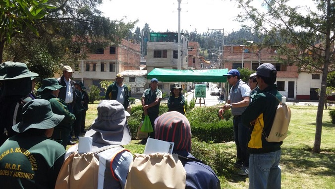 Huaraz: personal de Hidrandina recibirá demostración para poda adecuada de árboles y arbustos