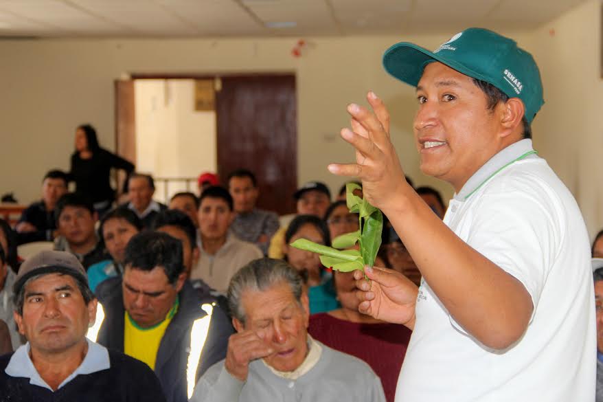 Corongo: Senasa capacita a pequeños productores en manejo integrado de plagas en cítricos