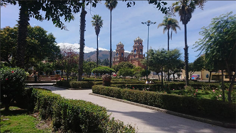 Contraloría formula recomendaciones a  proyecto de seguridad ciudadana en Carhuaz