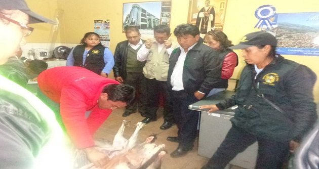 Decomisa carne de dudosa procedencia en mercado Virgen de Fátima