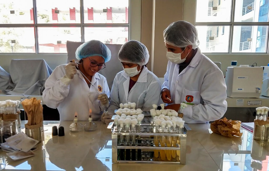 Gobierno de Corea lanza becas de posgrados para peruanos talentosos 