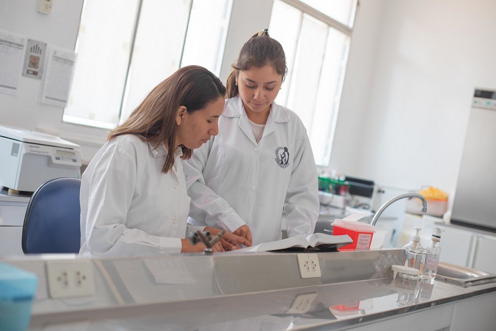 Suiza ofrece becas de investigación, doctorados y posdoctorados, conozca los requisitos 