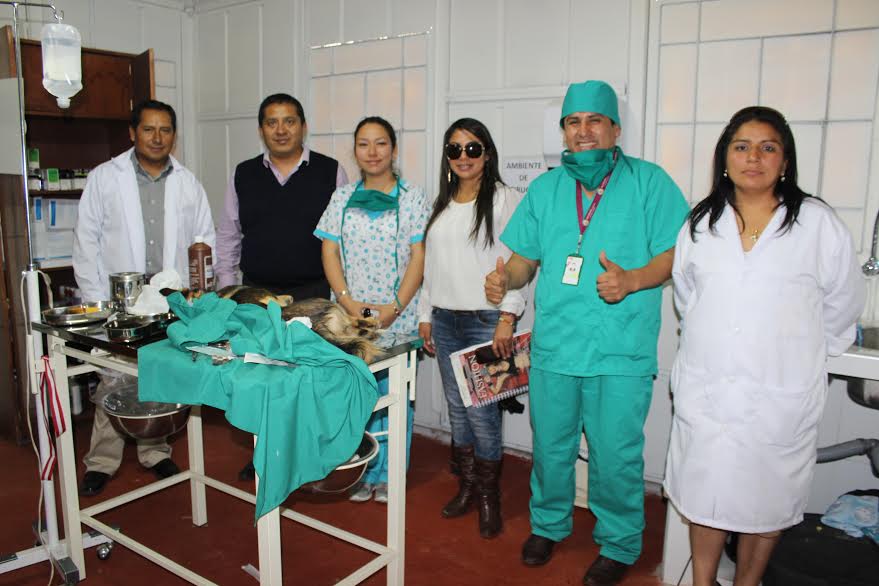 Independencia: felicitan a municipio distrital por puesta en marcha de clínica canina 