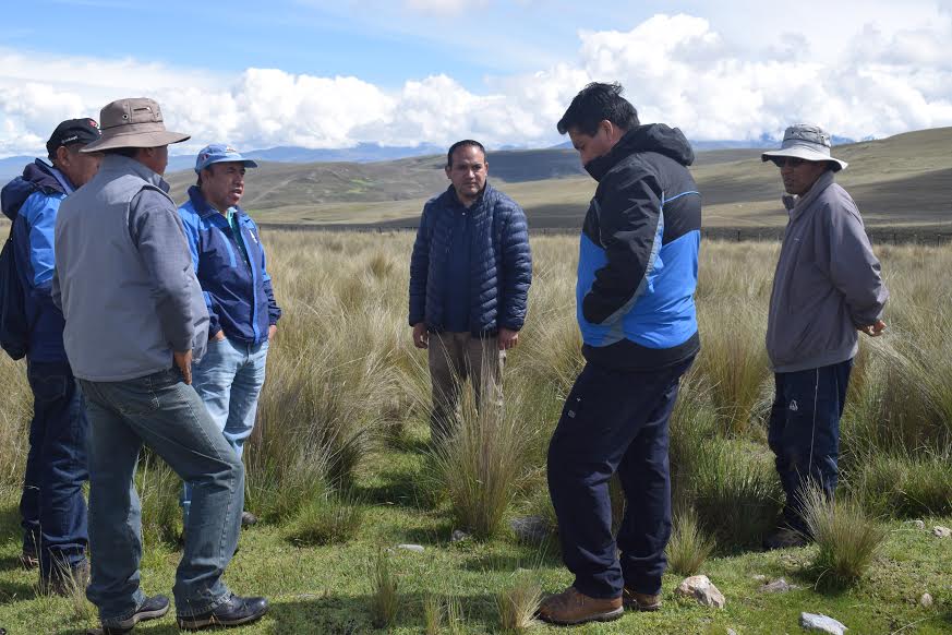 Cátac: comunidad campesina facilita terrenos al Inaigem para investigación de pastos naturales