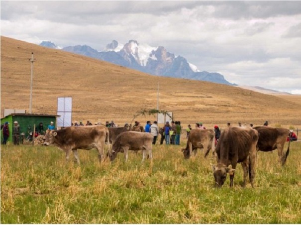 Gobierno de Canadá y minera apoyan en instalación de sistema de riego en comunidad campesina de Cátac