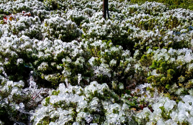 Supervisan daños ocasionados por heladas en Callejón de Conchucos