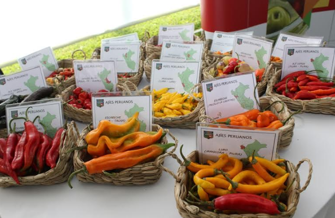 Cada peruano consume poco más de 4 kilos de ajíes al año