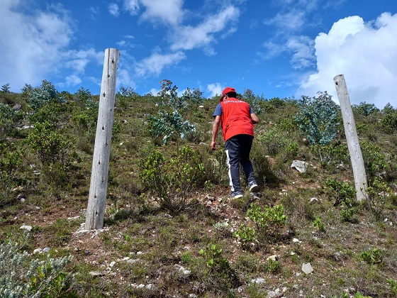 Contraloría advierte retraso y riesgo de pérdidas económicas en proyectos de reforestación en Sihuas 
