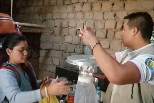 Intensifican control vectorial para prevenir Leishmaniasis en el distrito Cáceres del Perú