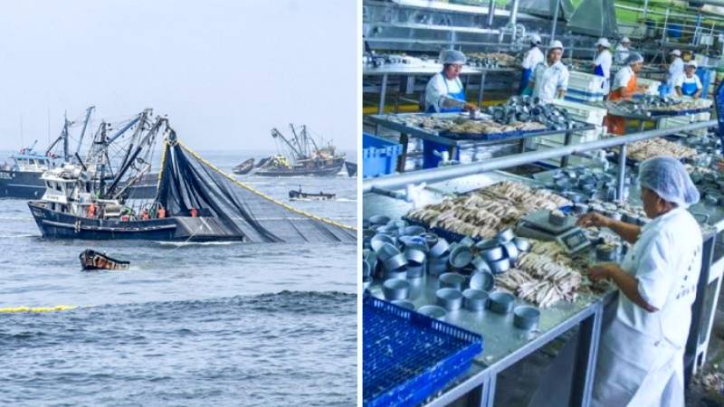 MEF: economía peruana acumula ocho meses de crecimiento consecutivo 