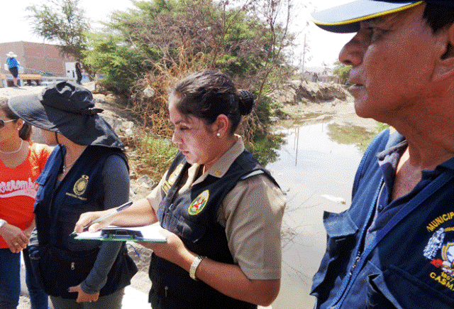 Casma: Criadores de cerdos en río Sechín serán desalojados por malas condiciones de crianza