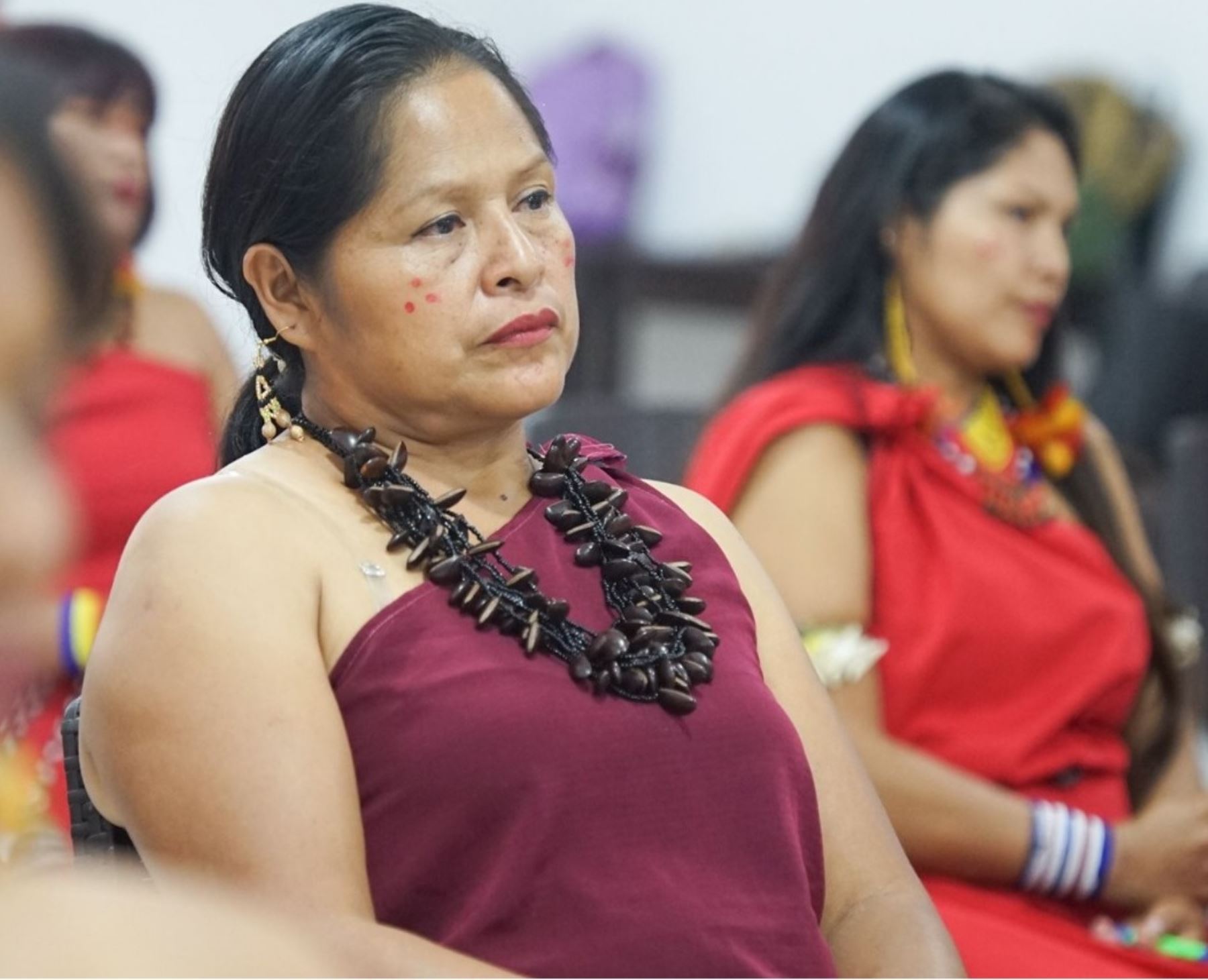 Cultura fortalece el Registro Nacional de Intérpretes y Traductores de Lenguas Indígenas