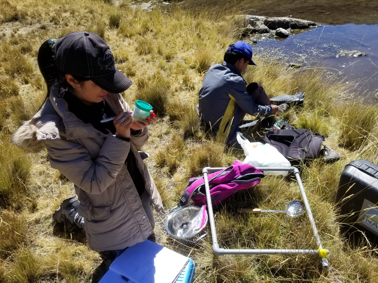 Investigaciones del Cushuro permitirá mejorar la alimentación de la población