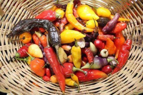 Día de los Ajíes Peruanos: los embajadores de las cocinas regionales