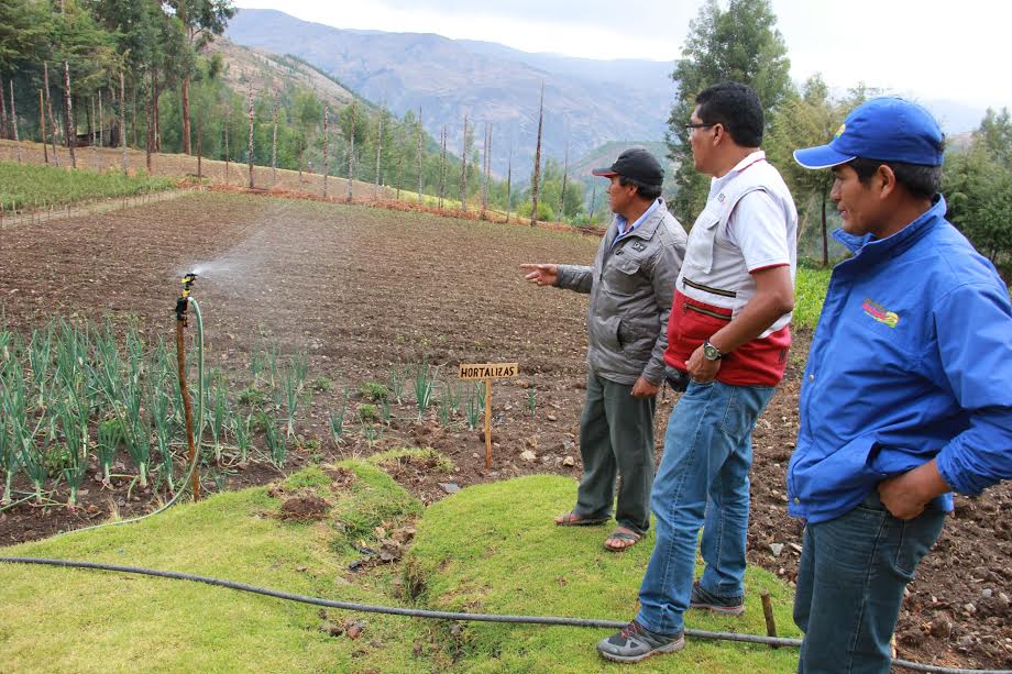 Áncash: más 200 familias de Carhuaz encaminadas productivamente con Haku Wiñay