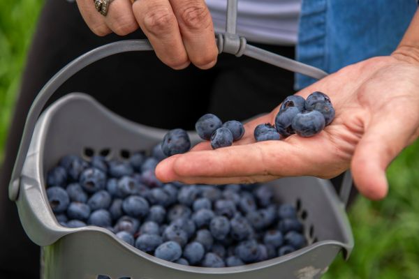 Aprueban 12 nuevas normas técnicas para fortalecer la calidad en industrias productivas y de seguridad  