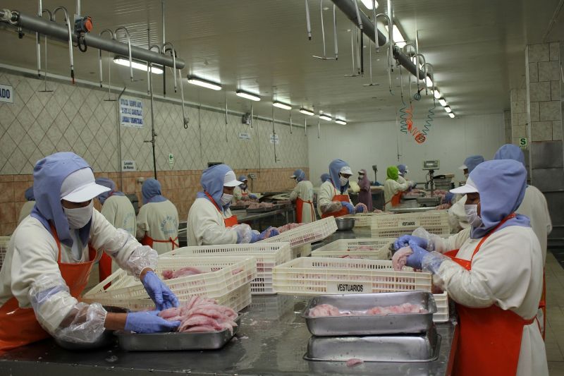 Adex busca dinamizar exportación  de oferta pesquera y acuícola