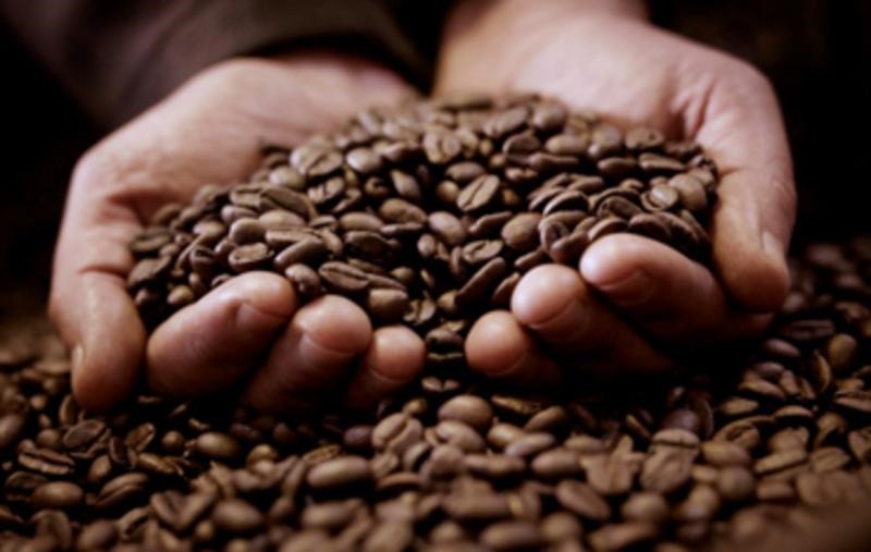 Tratado Integral y Progresista de la Asociación Transpacífico ayudará a diversificar oferta exportable hacia el Reino Unido