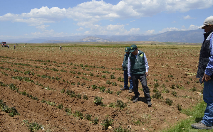 ANA prepara declaratoria de emergencia hídrica en algunas regiones donde se han producido incendios