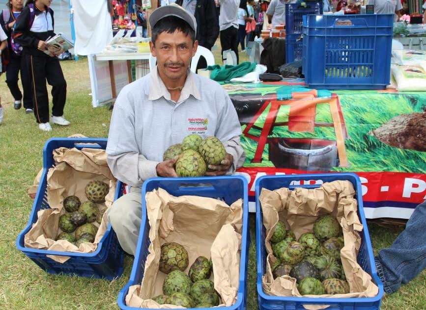 Áncash: negocios rurales de Haku Wiñay participan con éxito en Feria de Integración Regional 