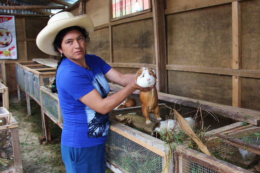 El 44% de mujeres jefas de hogares de Haku Wiñay lideran emprendimientos rurales inclusivos